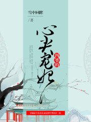 四爷的心尖宠妃章节列表
