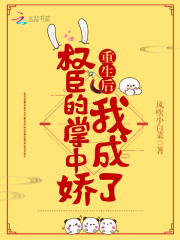 重生后我成了权臣的掌中娇（重生后我成了权臣的掌中娇南宝衣萧弈）章节列表