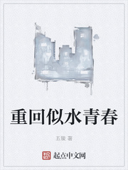 重回似水青春章节列表