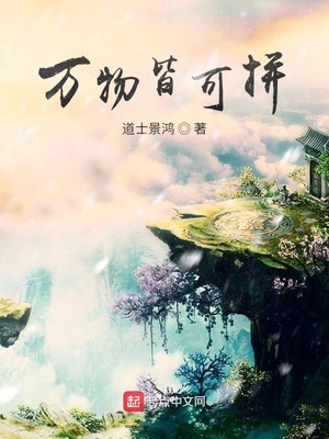 万物皆可拼章节列表