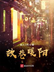 向暖阳章节列表