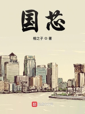 国芯章节列表