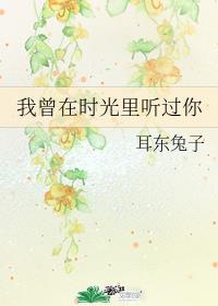 我曾在时光里听过你章节列表