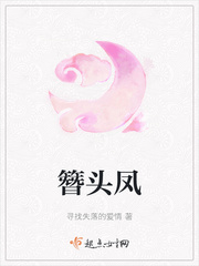 簪头凤章节列表