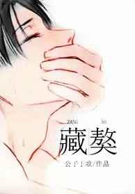 藏獒章节列表