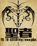 圣者章节列表