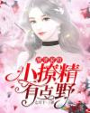 薄爷家的小撩精有点野章节列表