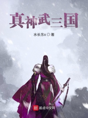 真神武三国章节列表