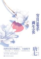岁月是朵两生花（刘恺威、王丽坤主演）章节列表
