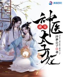 盛宠神医太子妃章节列表