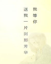 我等你，送我一片刹那芳华章节列表