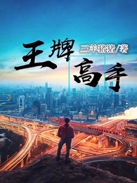 王牌高手章节列表