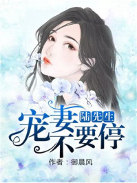 陆先生，宠妻不要停章节列表