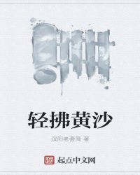 轻拂黄沙章节列表