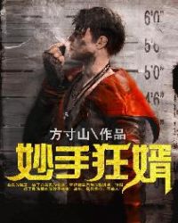 妙手狂婿章节列表