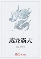 威龙霸天章节列表
