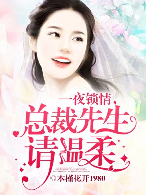 一夜锁情，总裁先生请温柔章节列表