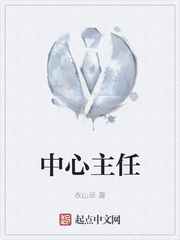 中心主任章节列表