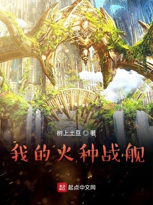 我的火种战舰章节列表