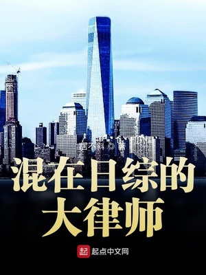 混在日综的大律师章节列表