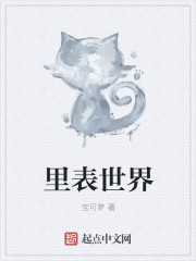 里表世界章节列表
