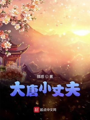 大唐小丈夫章节列表