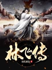 林飞传章节列表