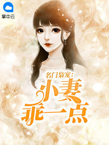 名门枭宠：小妻乖一点之子于归章节列表
