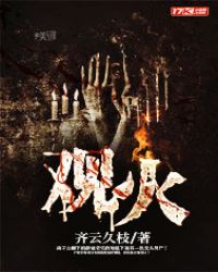 观火章节列表