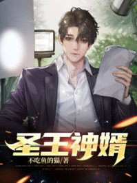 圣王神婿章节列表