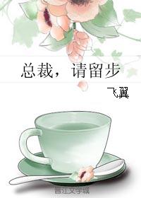 总裁，请留步章节列表