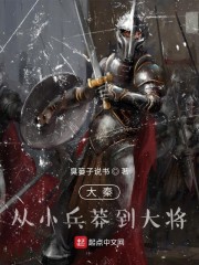 大秦：从小兵莽到大将章节列表
