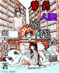萝莉人妻侦探社章节列表