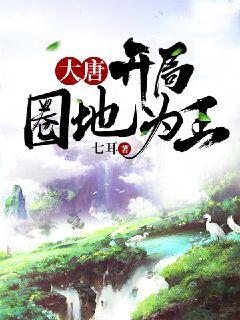 大唐开局圈地为王章节列表
