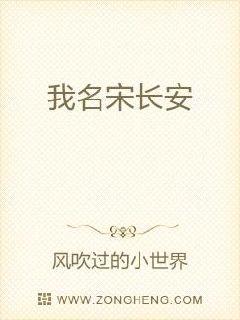 我名宋长安章节列表