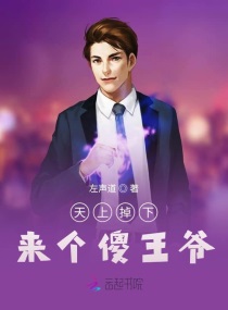 天上掉下来个傻王爷章节列表